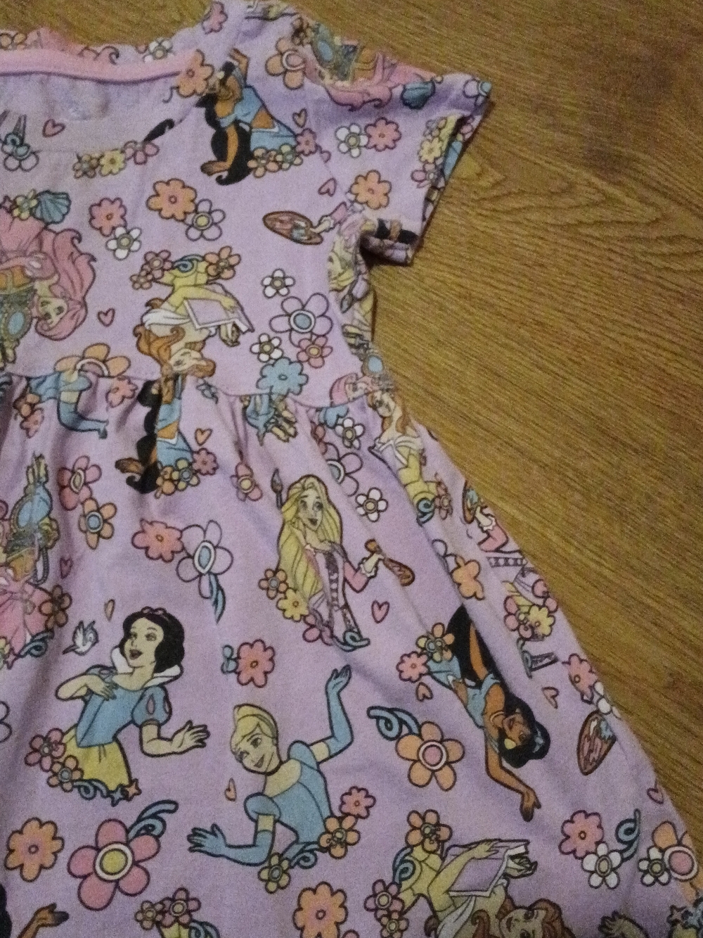 Disney Pink and Blue Princess Floral Casual Dress